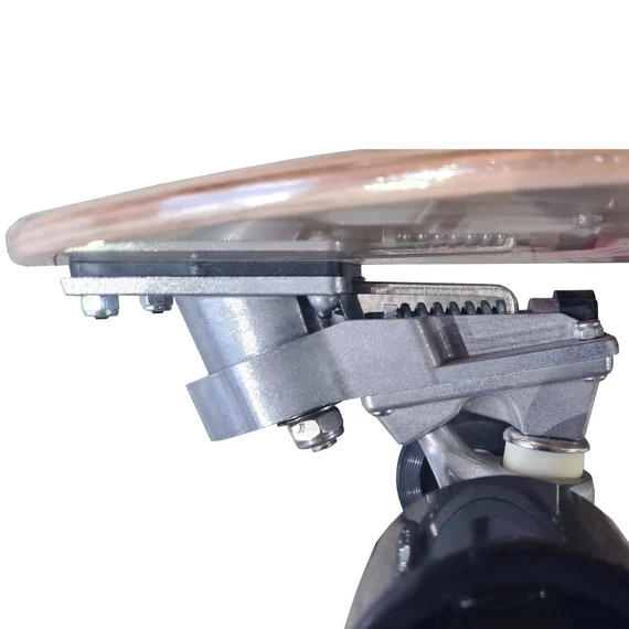 Playlife Palm Surfer cruiser board
